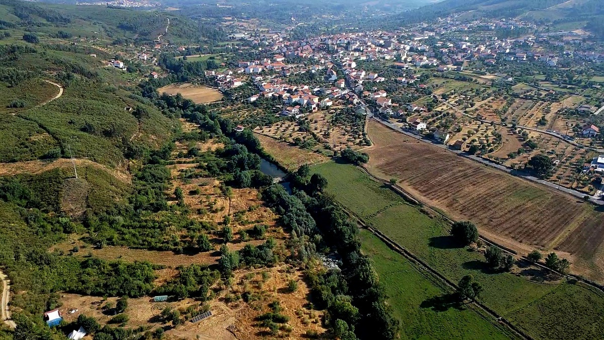 Festa de Santa Bebiana